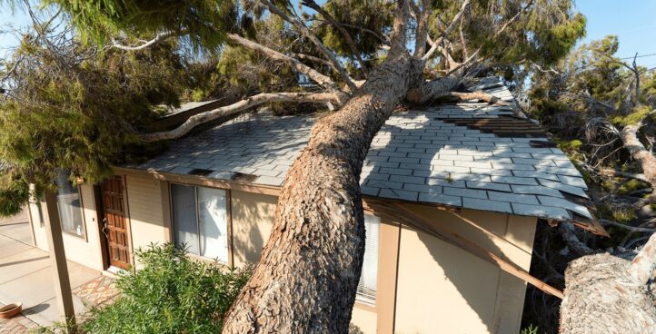 Storm Damage
